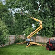 Best Seasonal Cleanup  in Fort Bragg, CA